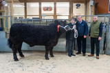 Champion Galloway at Dumfries Christmas Show from Messrs Paterson Low Three Mark weighing 670kg and sold for 230p-kg